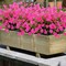 UV-Resistant Artificial Flowers: 10 Bundles for Indoor/Outdoor Decor